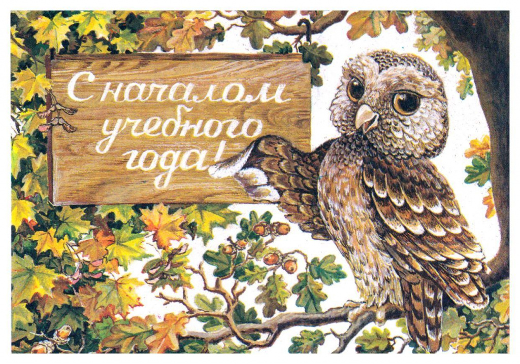 Школьницы и школьники! А также их родители...